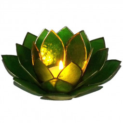 Photophore Lotus