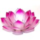 Photophore Lotus