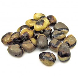 Pendentif Percé en Septaria