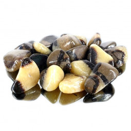 Pierre Roulée de Septaria