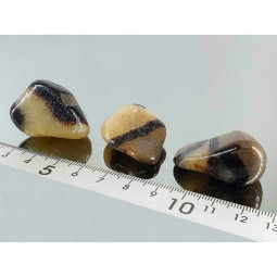 Pierre Roulée de Septaria