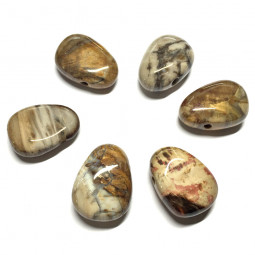 Pendentif Percé en Bois Fossile