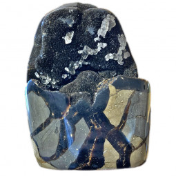 Forme libre en Septaria