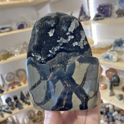 Forme libre en Septaria