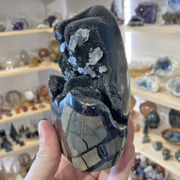 Forme libre en Septaria