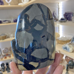 Forme libre en Septaria