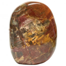 Forme libre en Bois Fossile