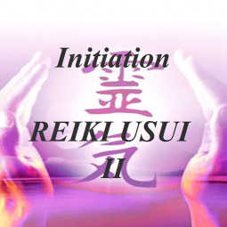 Stage Reïki 1er Degré