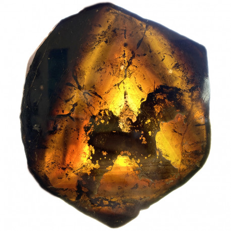 Tranche de Tourmaline Jaune (Liddicoatite)