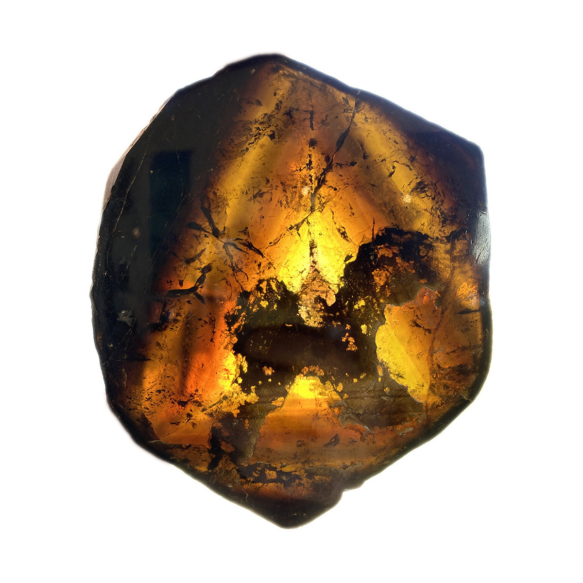 Tranche de Tourmaline Jaune (Liddicoatite)
