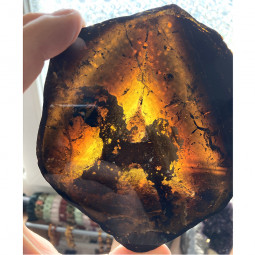 Tranche de Tourmaline Jaune (Liddicoatite)