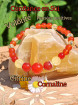 Bracelet en Cornaline & Citrine Vibrations Cristallines