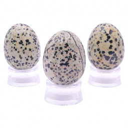 Oeuf en Jaspe Dalmatien