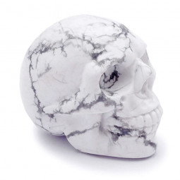 Crâne en Howlite