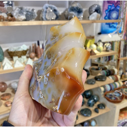 Forme libre en Cornaline