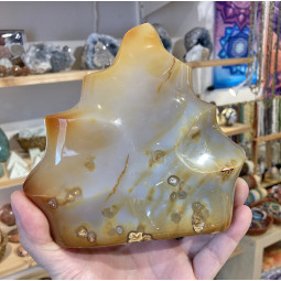 Forme libre en Cornaline