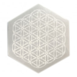 Hexagone Fleur de Vie en Sélénite - 10 cm