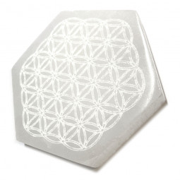 Hexagone Fleur de Vie en Sélénite - 10 cm