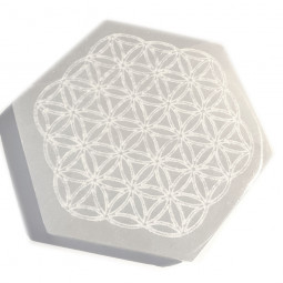 Hexagone Fleur de Vie en Sélénite - 10 cm