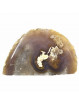 Nodule d'Agate - 550 grammes