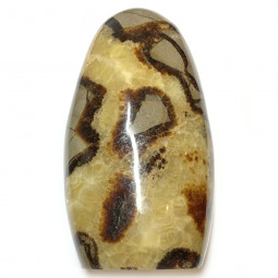 Forme libre en Septaria -...