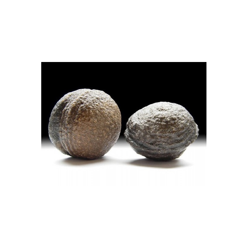 Moquis Balls Taille XXL - 150/170 grammes