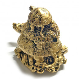 Tortues de la Prospérité