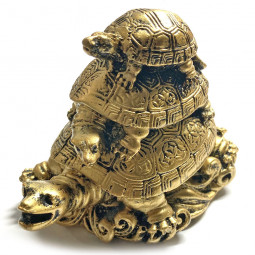 Tortues de la Prospérité