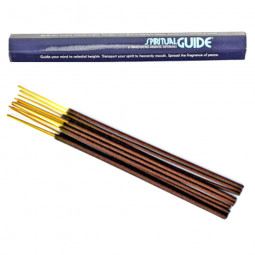 Encens indien Padmini Spiritual Guide - 30 gr