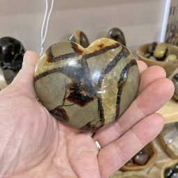 Coeur en Septaria - 280 grammes