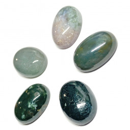 Cabochon d'Agate Mousse Naturelle - Taille 13x18mm