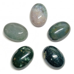 Cabochon d'Agate Mousse Naturelle - Taille 13x18mm