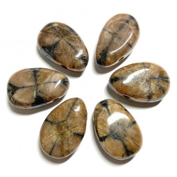 Pendentif Percé en Chiastolite