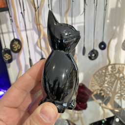 Chat en Obsidienne Dorée