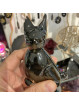 Chat en Obsidienne Dorée