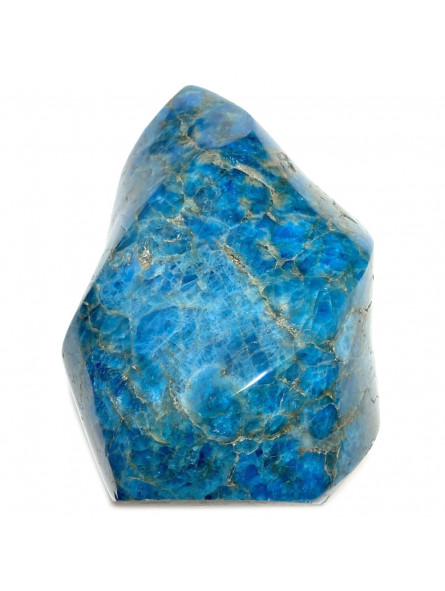 Forme libre en Apatite Bleue - 493 Grammes