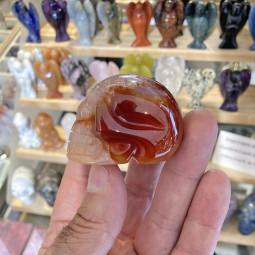 Crâne en Cornaline - 90 Grammes