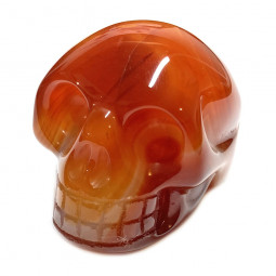 Crâne en Cornaline - 50mm