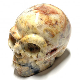 Crâne en Agate Crazy Lace - 5cm