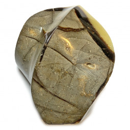 Forme libre en Septaria - 300 Grammes