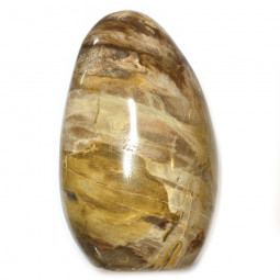 Forme libre en Bois Fossile - 967 Grammes