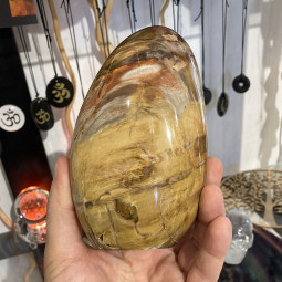 Forme libre en Bois Fossile - 967 Grammes