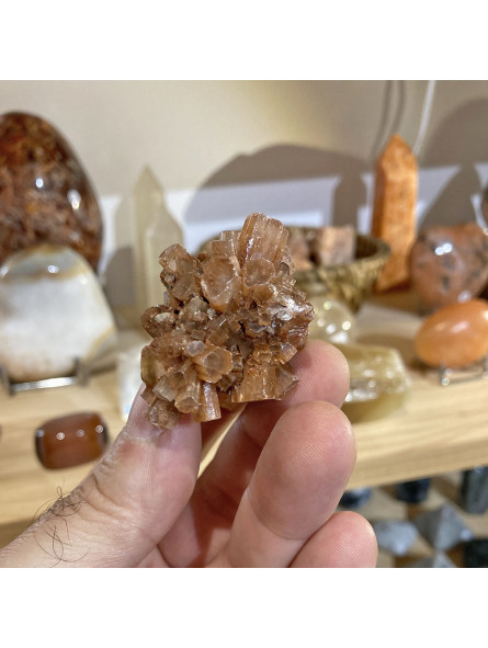 Macle d'Aragonite Cristallisée - 63 Grammes