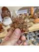 Macle d'Aragonite Cristallisée - 63 Grammes