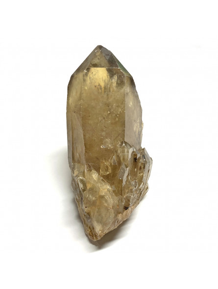 Druse de Citrine Naturelle 130 grammes