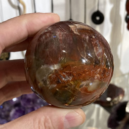 Sphère en Bois Fossile - 330 Grammes