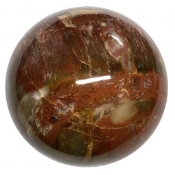 Sphère en Bois Fossile - 330 Grammes