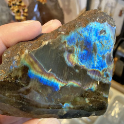 Forme libre en Labradorite - 323 Grammes