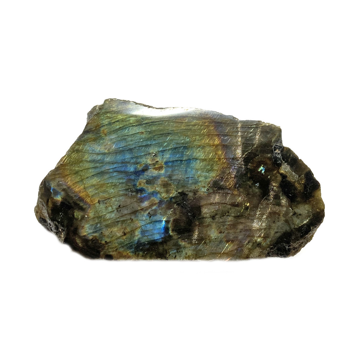 Forme libre en Labradorite Spectrolite - 295 Grammes