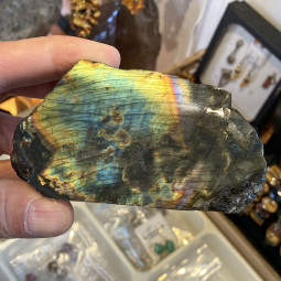 Forme libre en Labradorite Spectrolite - 295 Grammes